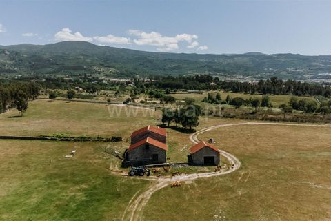 Farm i Seia, Guarda, Seia - € 320.000 | Ref: 382240077 - foto 11