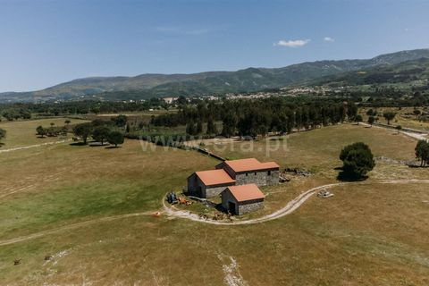 Farm i Seia, Guarda, Seia - € 320.000 | Ref: 382240077 - foto 12