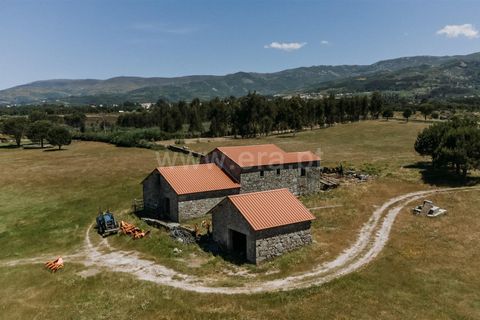 Farm i Seia, Guarda, Seia - € 320.000 | Ref: 382240077 - foto 13