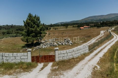 Farm i Seia, Guarda, Seia - € 320.000 | Ref: 382240077 - foto 15