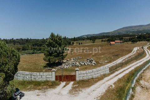 Farm i Seia, Guarda, Seia - € 320.000 | Ref: 382240077 - foto 16