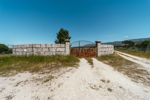 Farm i Seia, Guarda, Seia - € 320.000 | Ref: 382240077 - foto 17
