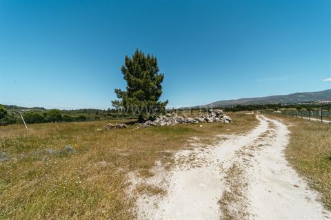 Farm i Seia, Guarda, Seia - € 320.000 | Ref: 382240077 - foto 18