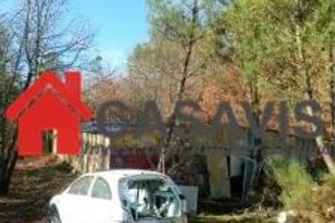 Tomt i Calde, Viseu, Calde - € 15 000 | Ref: CA456 - foto 2