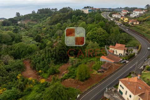 Terra a Camacha, Madeira, Camacha - € 185.000 | Ref: SOL_4703 - foto 2
