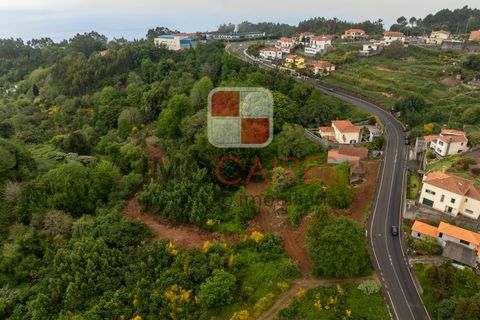 Terra a Camacha, Madeira, Camacha - € 185.000 | Ref: SOL_4703 - foto 3