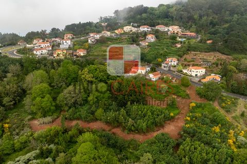 Terra a Camacha, Madeira, Camacha - € 185.000 | Ref: SOL_4703 - foto 4