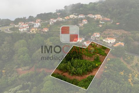 Terra a Camacha, Madeira, Camacha - € 185.000 | Ref: SOL_4703 - foto 5