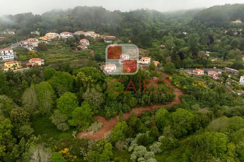 Terra a Camacha, Madeira, Camacha - € 185.000 | Ref: SOL_4703 - foto 6