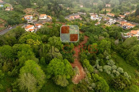 Terra a Camacha, Madeira, Camacha - € 185.000 | Ref: SOL_4703 - foto 7