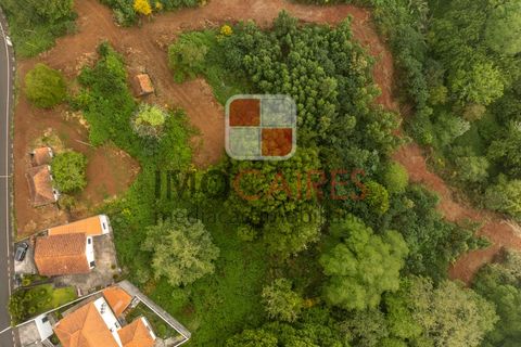 Terra a Camacha, Madeira, Camacha - € 185.000 | Ref: SOL_4703 - foto 8