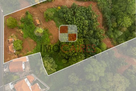 Terra a Camacha, Madeira, Camacha - € 185.000 | Ref: SOL_4703 - foto 9
