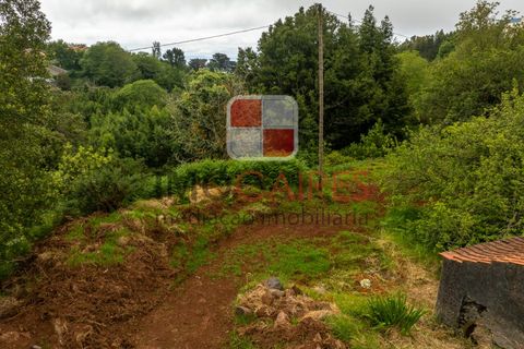 Terra a Camacha, Madeira, Camacha - € 185.000 | Ref: SOL_4703 - foto 10