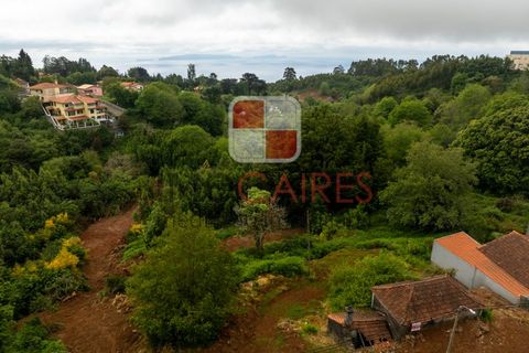 Terra a Camacha, Madeira, Camacha - € 185.000 | Ref: SOL_4703 - foto 11