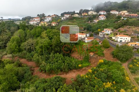 Terra a Camacha, Madeira, Camacha - € 185.000 | Ref: SOL_4703 - foto 12
