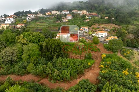 Terra a Camacha, Madeira, Camacha - € 185.000 | Ref: SOL_4703 - foto 13