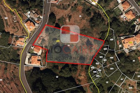 Terra a Camacha, Madeira, Camacha - € 185.000 | Ref: SOL_4703 - foto 14