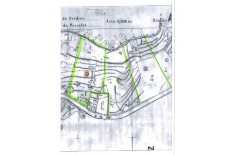 Terra a Camacha, Madeira, Camacha - € 185.000 | Ref: SOL_4703 - foto 15
