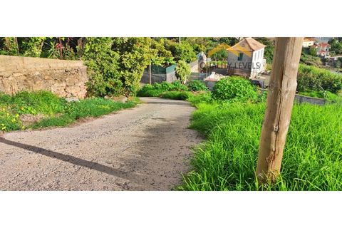 Helårsgrund i Gaula, Madeira, Gaula - € 150.000 | Ref: QL-51 - foto 5