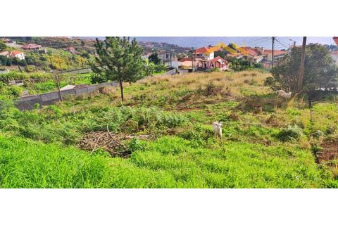 Helårsgrund i Gaula, Madeira, Gaula - € 150.000 | Ref: QL-51 - foto 6