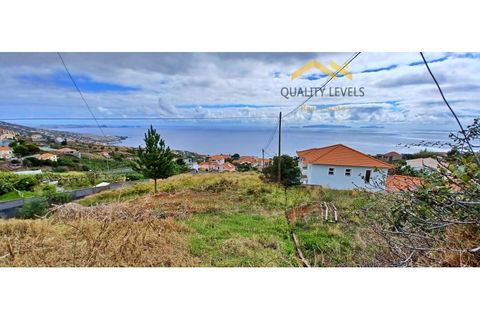Helårsgrund i Gaula, Madeira, Gaula - € 150.000 | Ref: QL-51 - foto 8