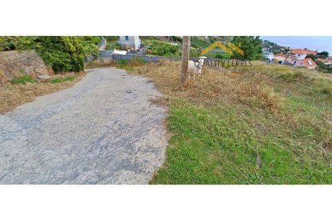 Helårsgrund i Gaula, Madeira, Gaula - € 150.000 | Ref: QL-51 - foto 9