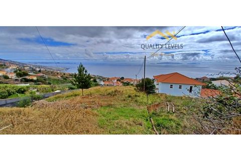 Helårsgrund i Gaula, Madeira, Gaula - € 150.000 | Ref: QL-51 - foto 10