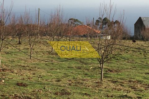 Helårsgrund i Calheta, Madeira, Calheta - € 1.250.000 | Ref: Q1899 - foto 12