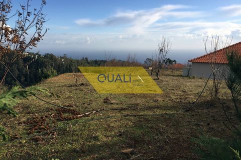 Helårsgrund i Calheta, Madeira, Calheta - € 1.250.000 | Ref: Q1899 - foto 13
