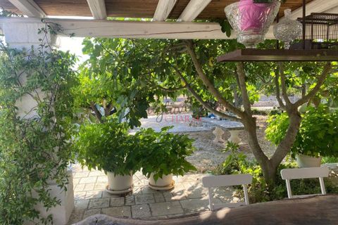 Landejendom i Ostuni, Brindisi, Ostuni - € 11.111.111 | Ref: 284 - foto 9