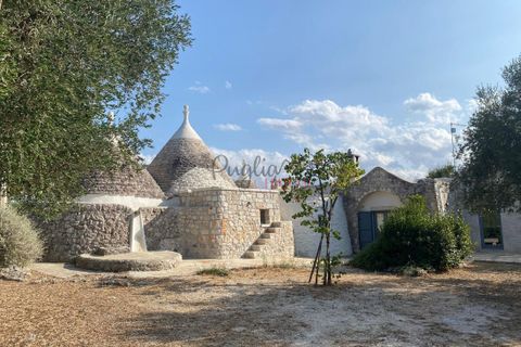 Landejendom i Ostuni, Brindisi, Ostuni - € 11.111.111 | Ref: 284 - foto 6