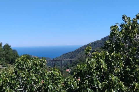 Terra a Gorbio, Alpes-Maritimes, Gorbio - € 605.000 | Ref: 84842404 - foto 2