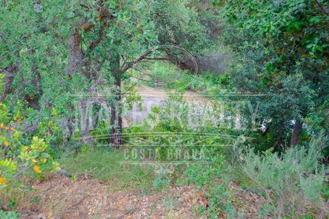 Helårsgrund i Tossa De Mar, Gerona, Tossa De Mar - € 122.000 | Ref: 190T - foto 3