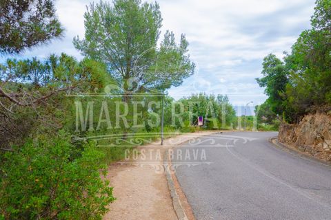 Helårsgrund i Tossa De Mar, Gerona, Tossa De Mar - € 122.000 | Ref: 190T - foto 4