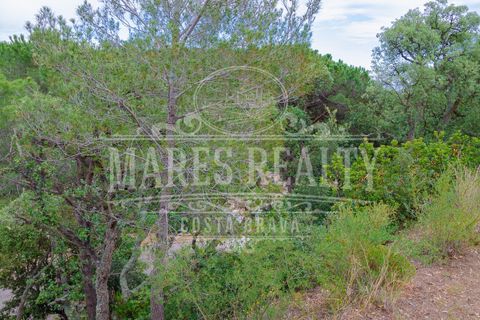 Helårsgrund i Tossa De Mar, Gerona, Tossa De Mar - € 122.000 | Ref: 190T - foto 6