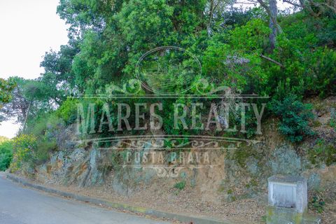 Helårsgrund i Tossa De Mar, Gerona, Tossa De Mar - € 122.000 | Ref: 190T - foto 14