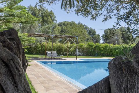 Erhvervsejendom i Betera, Valencia, Betera - € 1.500.000 | Ref: VAL50759 - foto 4