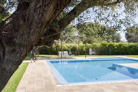 Erhvervsejendom i Betera, Valencia, Betera - € 1.500.000 | Ref: VAL50759 - foto 5
