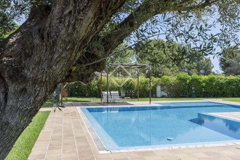 Erhvervsejendom i Betera, Valencia, Betera - € 1.500.000 | Ref: VAL50759 - foto 6