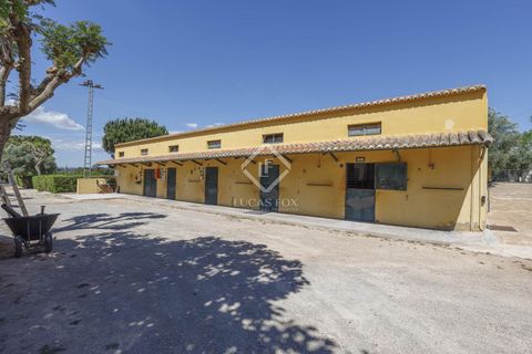Erhvervsejendom i Betera, Valencia, Betera - € 1.500.000 | Ref: VAL50759 - foto 31