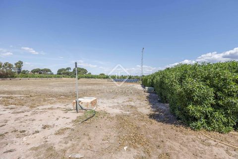 Erhvervsejendom i Betera, Valencia, Betera - € 1.500.000 | Ref: VAL50759 - foto 36