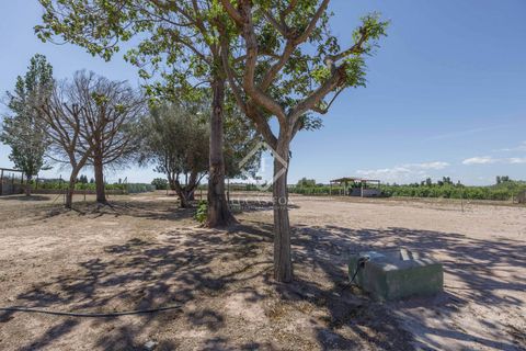 Erhvervsejendom i Betera, Valencia, Betera - € 1.500.000 | Ref: VAL50759 - foto 38