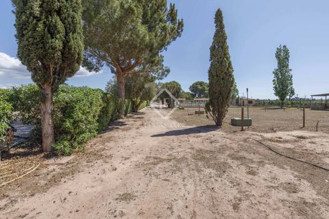Erhvervsejendom i Betera, Valencia, Betera - € 1.500.000 | Ref: VAL50759 - foto 39