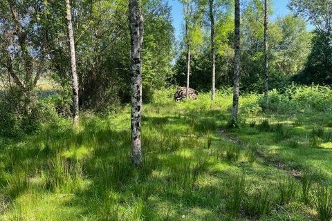 Helårsgrund i Penafiel, Porto, Penafiel - € 199.000 | Ref: C0393-01058 - foto 3