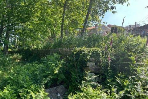Helårsgrund i Penafiel, Porto, Penafiel - € 199.000 | Ref: C0393-01058 - foto 5