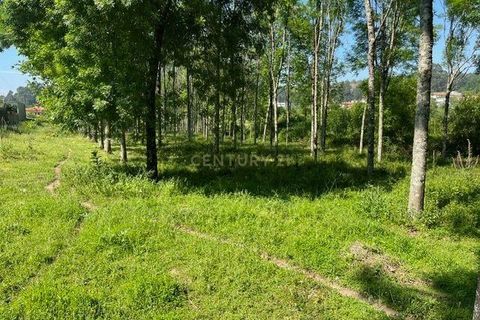 Helårsgrund i Penafiel, Porto, Penafiel - € 199.000 | Ref: C0393-01058 - foto 9
