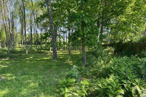 Helårsgrund i Penafiel, Porto, Penafiel - € 199.000 | Ref: C0393-01058 - foto 10