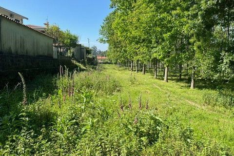 Helårsgrund i Penafiel, Porto, Penafiel - € 199.000 | Ref: C0393-01058 - foto 14