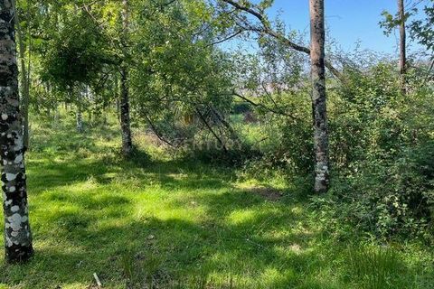 Helårsgrund i Penafiel, Porto, Penafiel - € 199.000 | Ref: C0393-01058 - foto 17