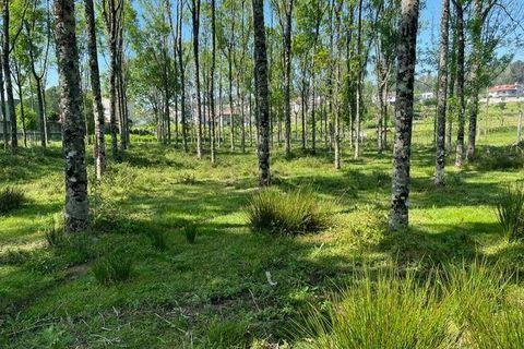 Helårsgrund i Penafiel, Porto, Penafiel - € 199.000 | Ref: C0393-01058 - foto 22